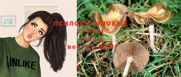 MESCALINE Магас