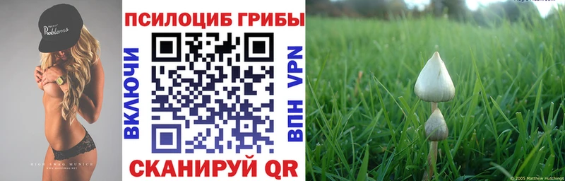 omg маркетплейс  Новотитаровская  Псилоцибиновые грибы Cubensis  магазин продажи  