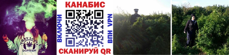 Канабис ГИДРОПОН  Новотитаровская 
